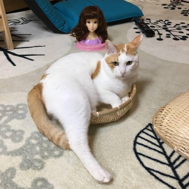 41d38d74 ed17 4bd5 a406 fe18e1a73122