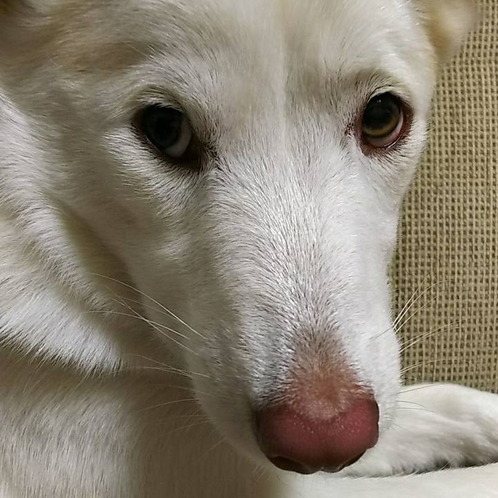 41d3cee7 8fbc 4a1d 9d8e f3330f25d8b6