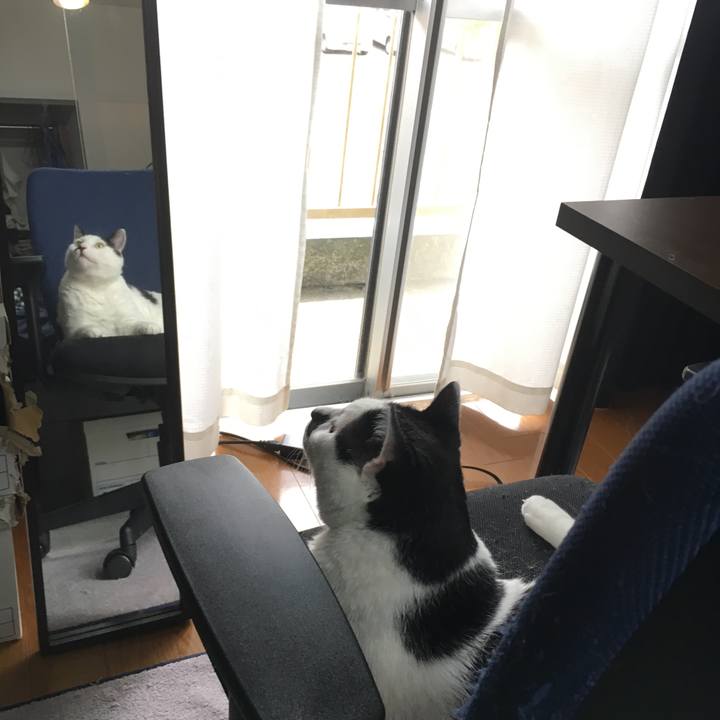 41d484a9 9ab3 4184 83f6 44cec116094f