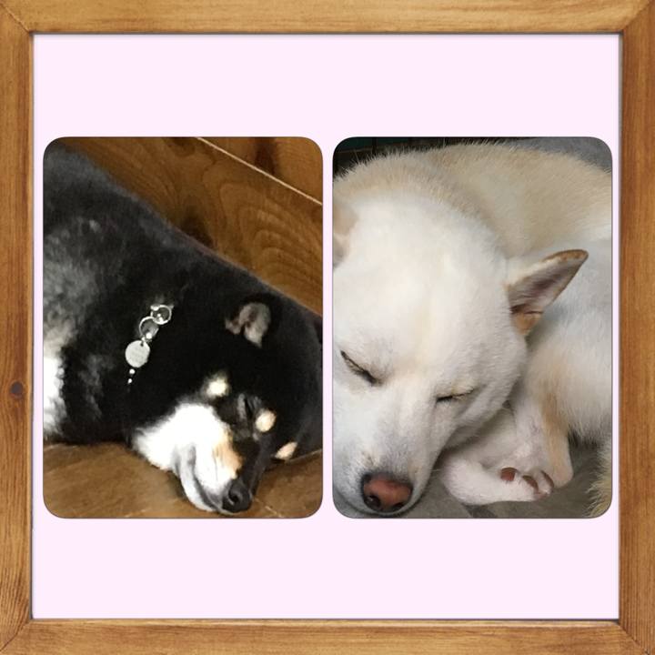 41d53eaf 96e1 4832 b10b 5d7d2d46babe