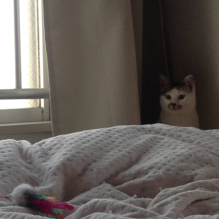 41d59915 0dd2 4174 a808 a2b4c9787350