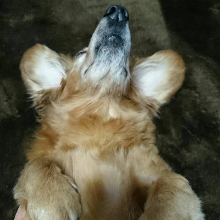 41d65404 d9c7 4c99 a3f6 d3ce3f3be0d4