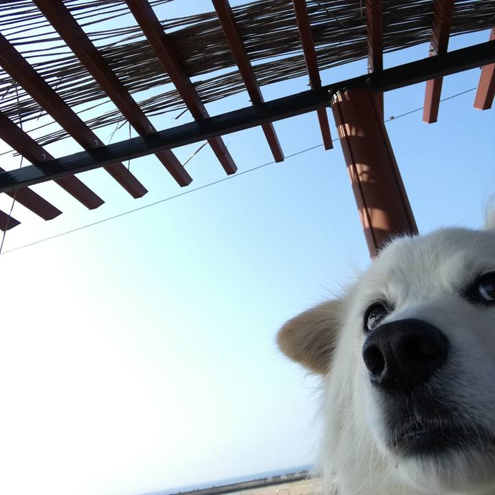 41d67a10 5055 4fec 820d f2ebeb70629e