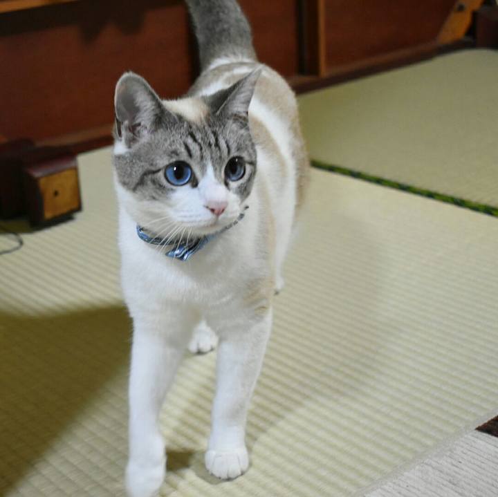 41d6c459 cb21 46b5 b9ea 3859e3113836