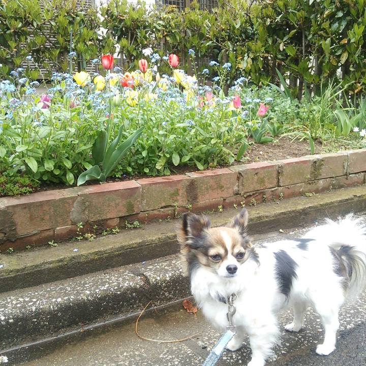 41d6c5c8 f341 46b7 8b8d e4ed677f338e