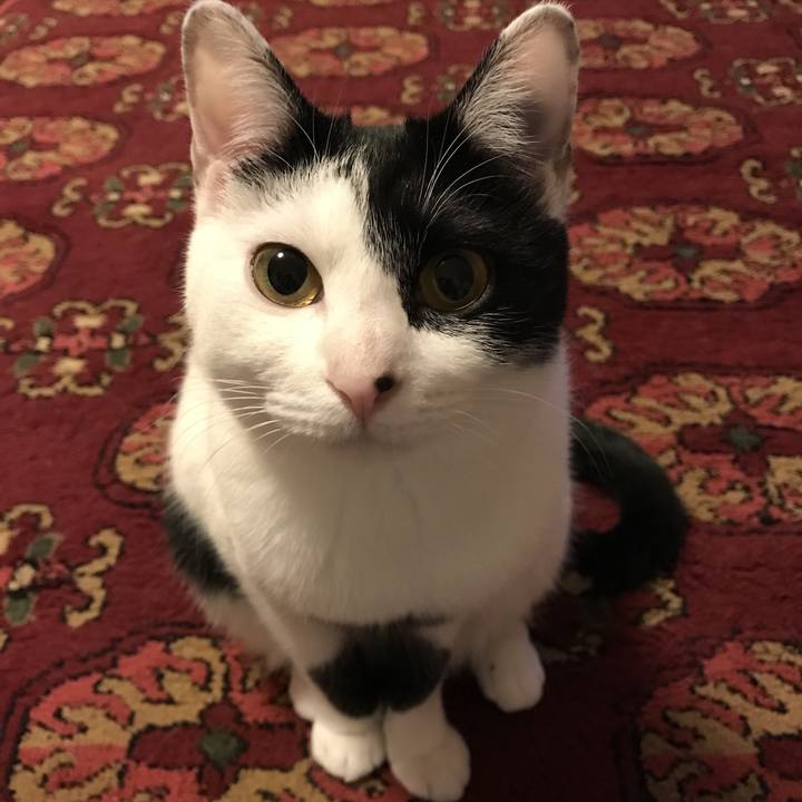 41d71865 bea6 4e90 8680 f9a530e7c9ae