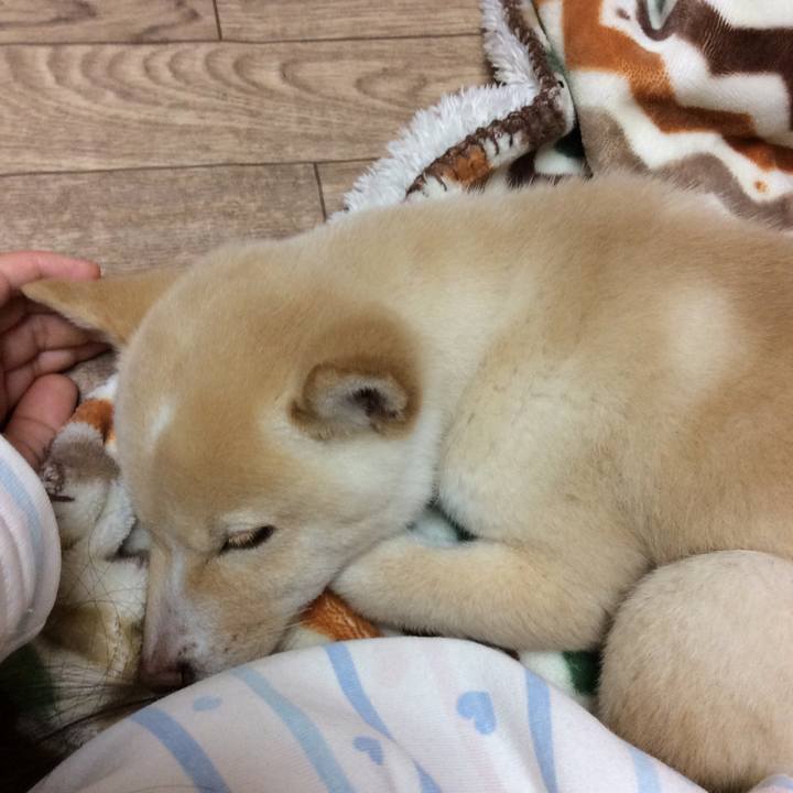 41d7c9ad 823c 4a07 9ba1 d55387da8eb1