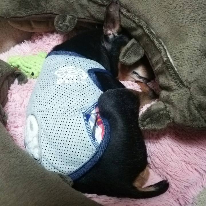 41da1fde 0eff 41f4 9fc2 4cc0e30583b1