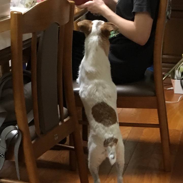 41dbaf6c 0f00 4057 bb7a b3a791d74609