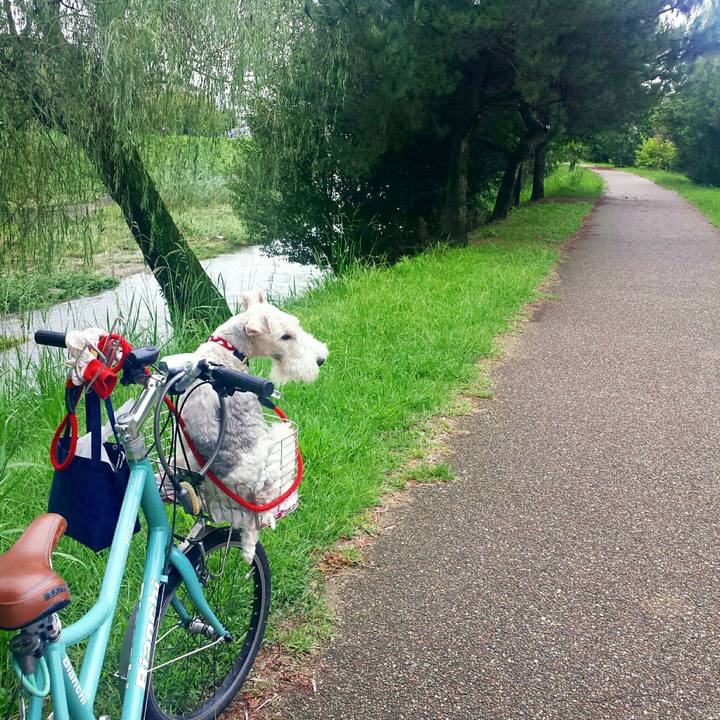 41dc9f18 e64d 44a8 9e2b 2cead2ebdcc9