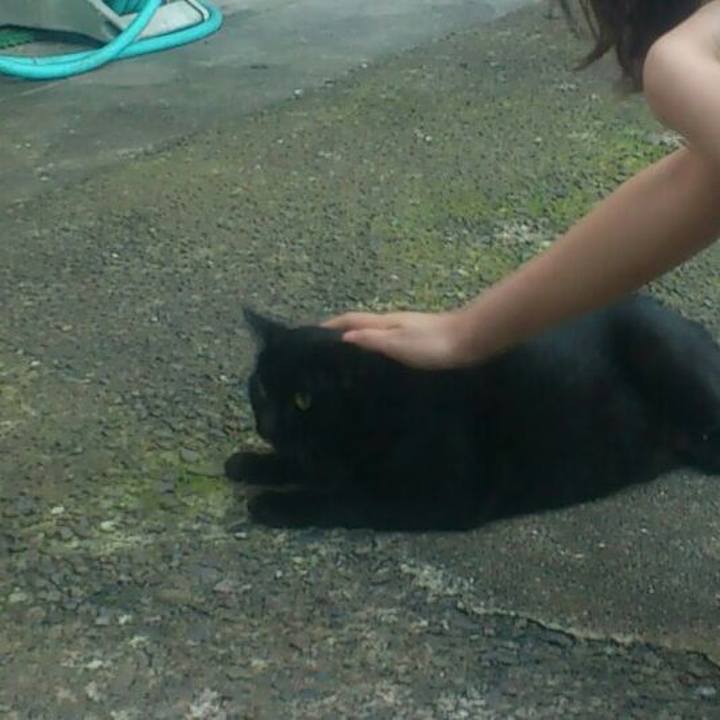 41dcde8d 0375 470a be6e 1c361daed83b