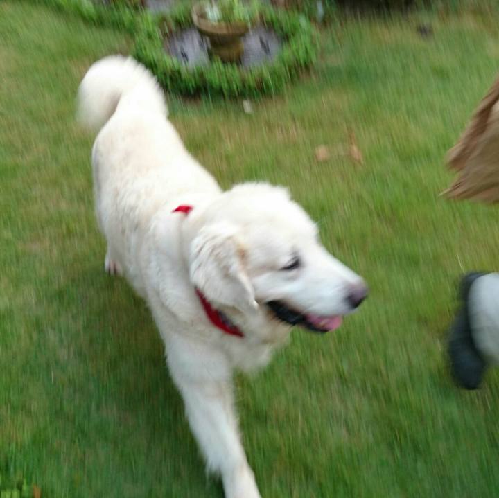 41dcf108 545e 4924 a53f 26df88d9e1e0