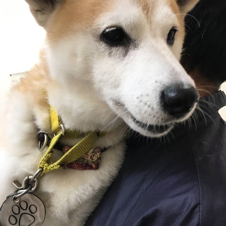 41dd02cb bfa7 4b67 ad9e 264a158b73c6