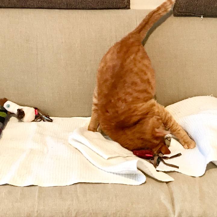 41dd2da8 a6a4 4028 95d3 84b2fde841bc