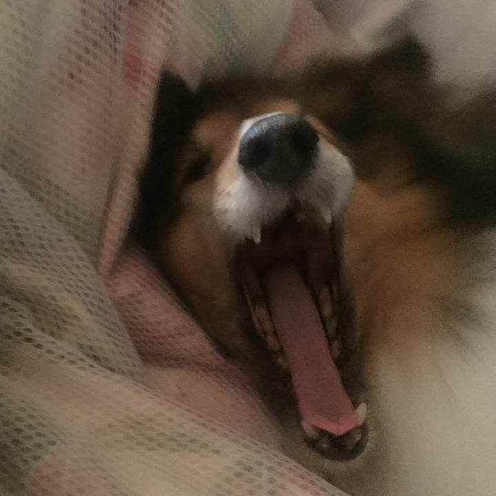 41dd8740 b621 44a4 bc3a 6df122b8c526