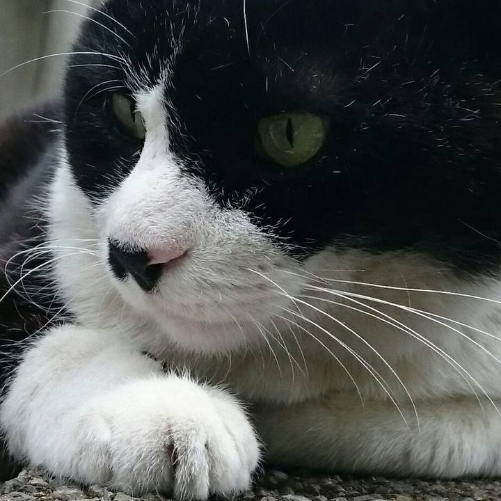 41dda25c 1470 4eec aafb b8c03dc64692