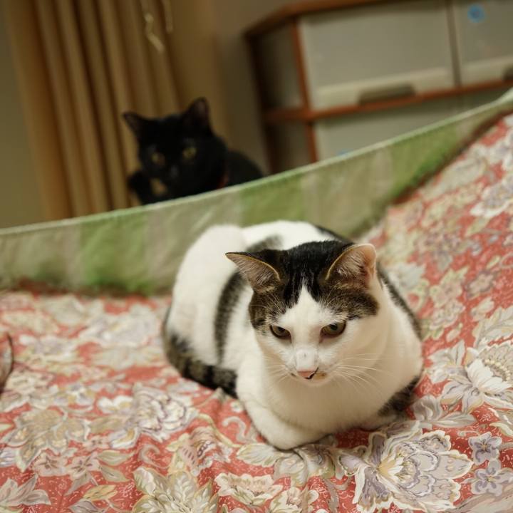 41ddbbfd b635 47c2 9a6b 22a2eaafba25