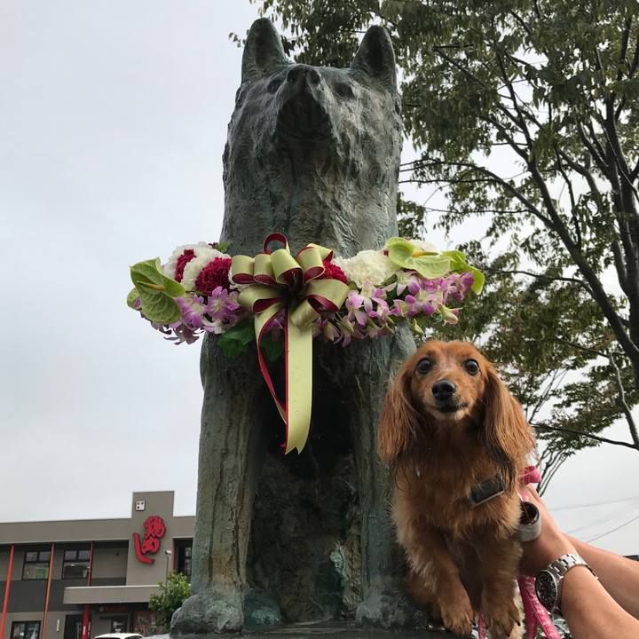 41ddf528 bdc6 44f3 907f 364b650e5c59