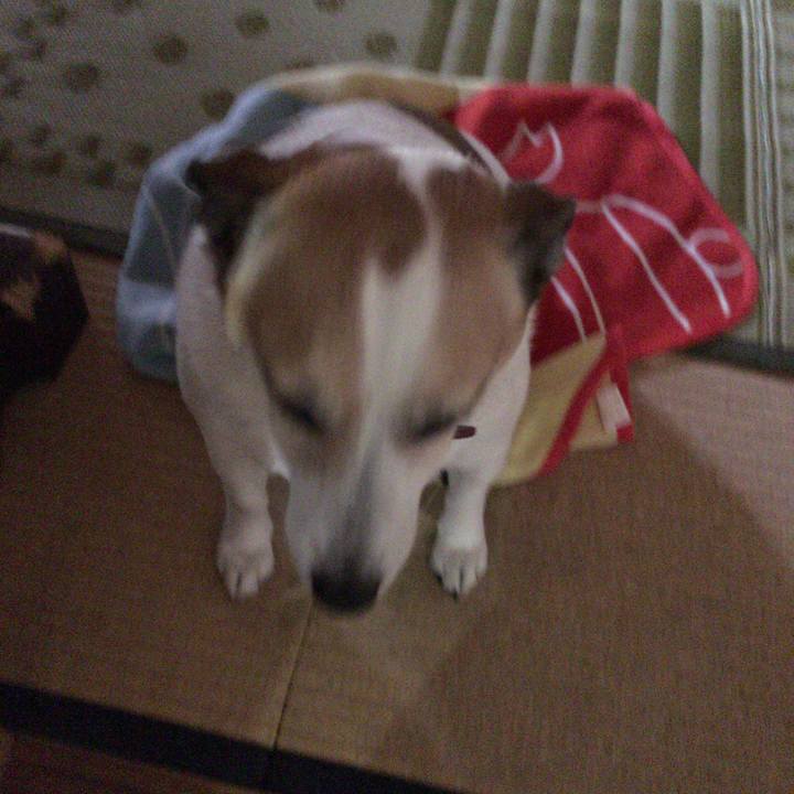 41de39d5 a840 47c3 b7e1 26ea4d5f7ec5