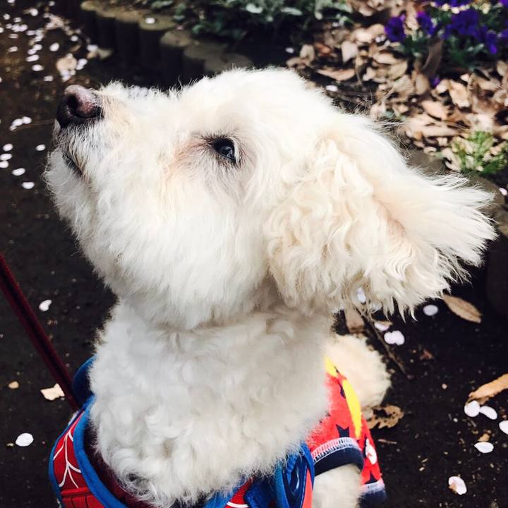 41debd18 ff87 4da1 a320 26ef74c9c99a