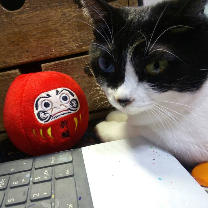 41df4906 d695 4119 9752 81e8cfaa9b55