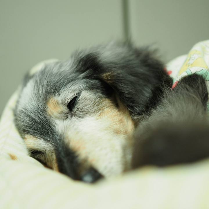 41dfe4b2 50a3 4c84 88da 64746d0186bb