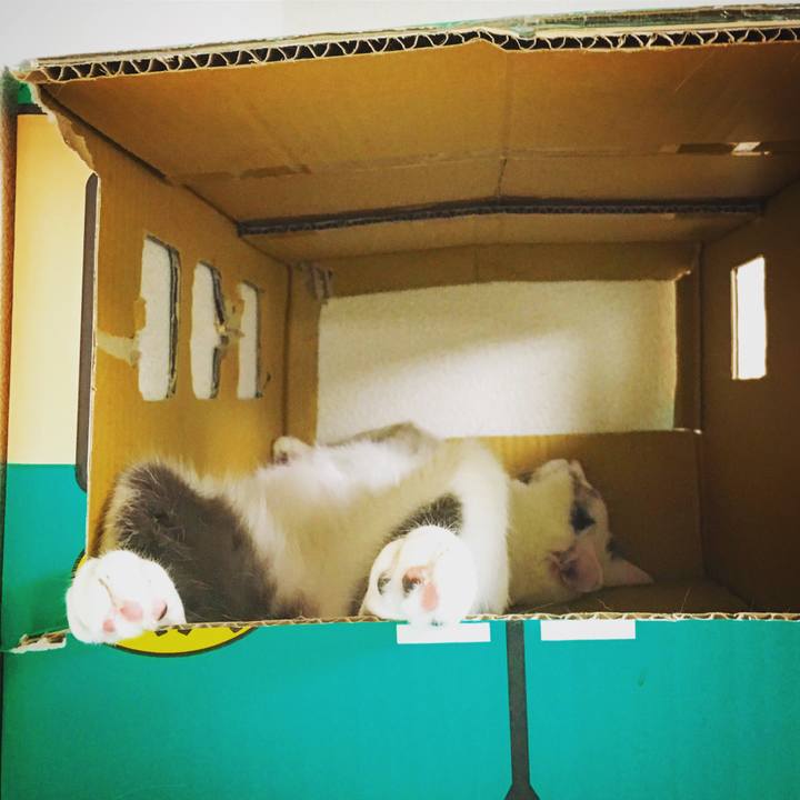 41e00fbf b250 4252 9c9f 22efdb975882