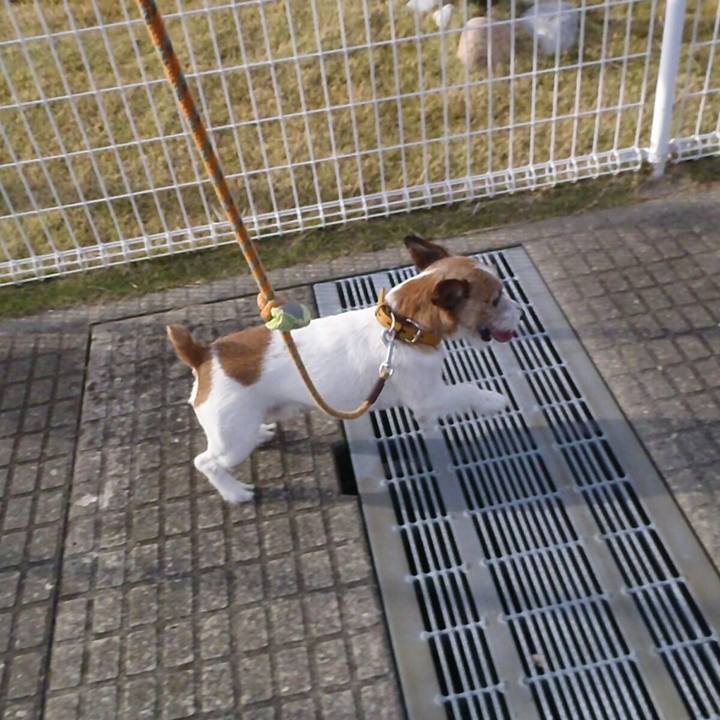 41e04743 4332 4657 9fb2 90af1212462f