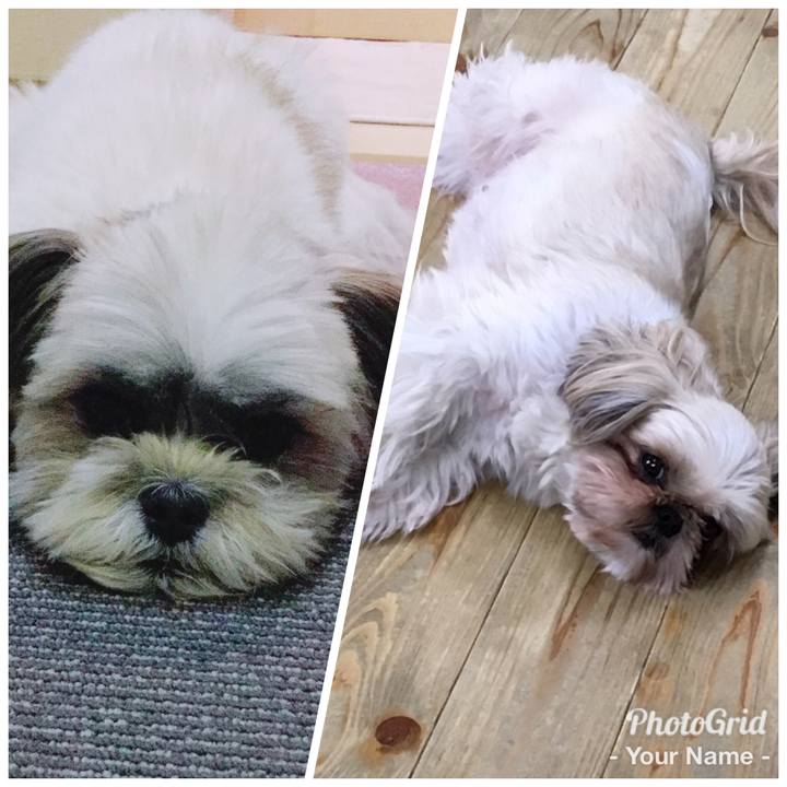 41e05716 ac5b 4233 a01f 86505d7a353f