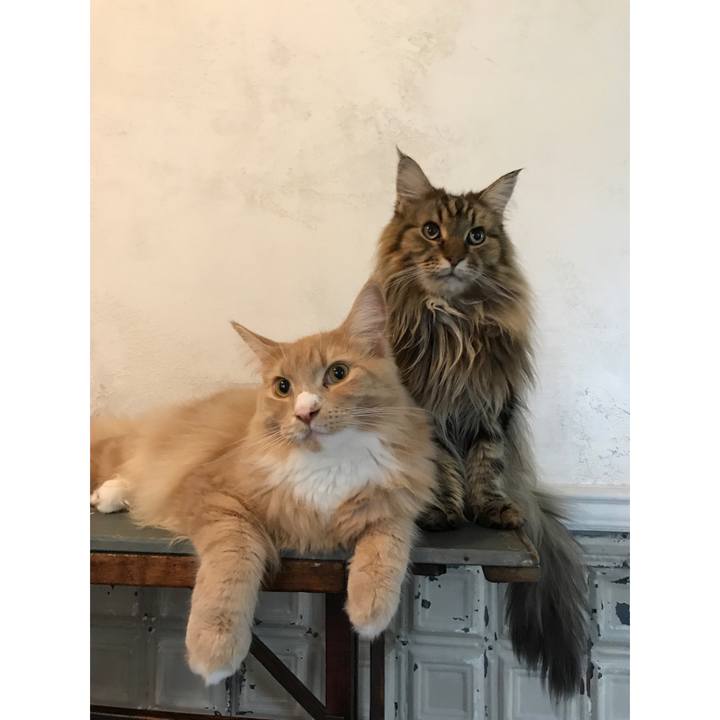 41e06353 6105 432e a469 472979ae0798