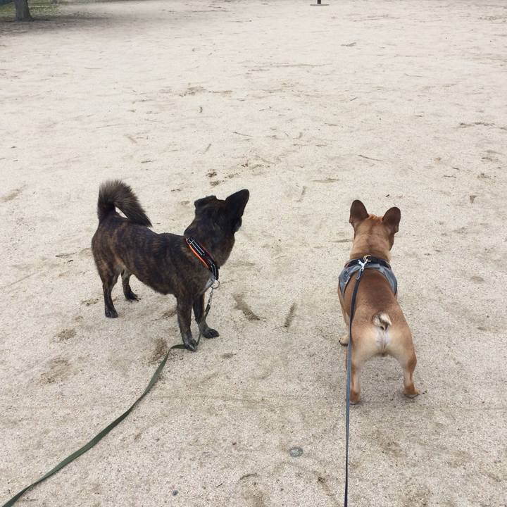 41e07192 6f4c 4554 9702 21f037c8c1f1