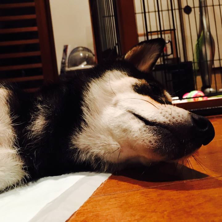 41e11629 186b 4ea7 a486 8f304b875262