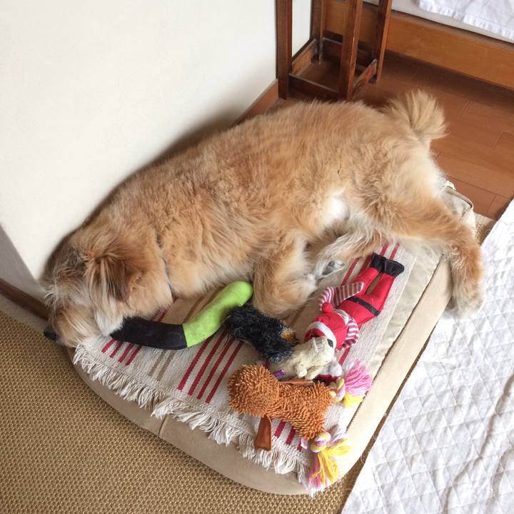 41e1518e 3ff0 4b52 82ae 9657b5cc2699