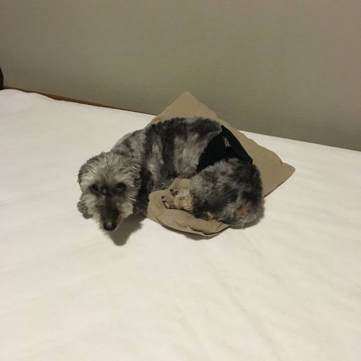 41e1ac39 cc4f 4f8c b25c f79e8f0df31d