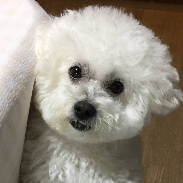 41e1def5 c12e 4be9 99d3 93ebfec886d6