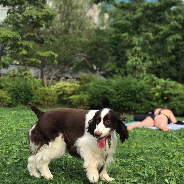 41e1e14e aaaa 4460 a716 843dd735388b