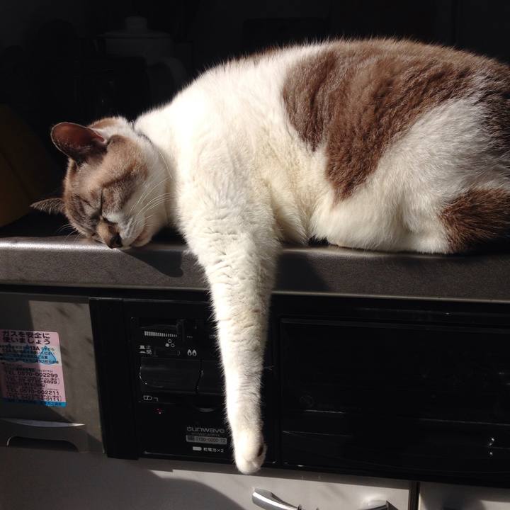 41e28384 6ac0 41aa bdeb 01cd7e03349b