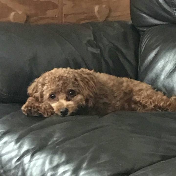 41e29483 6641 48c2 b648 f3b66fe60756