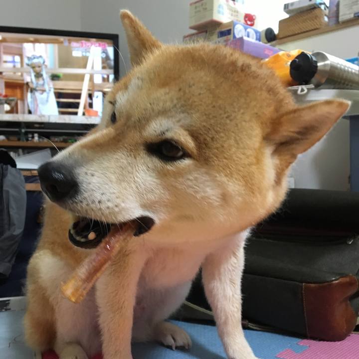 41e440a3 13f9 483b 94d5 6e46f20d9ec6