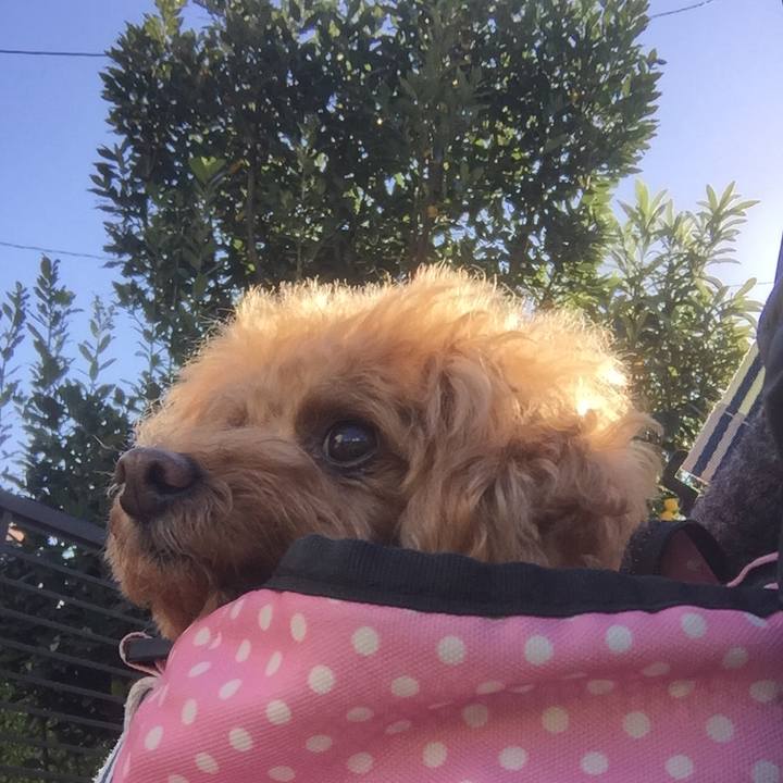 41e4544d e500 47ad a5a8 1e9e3f4269f7