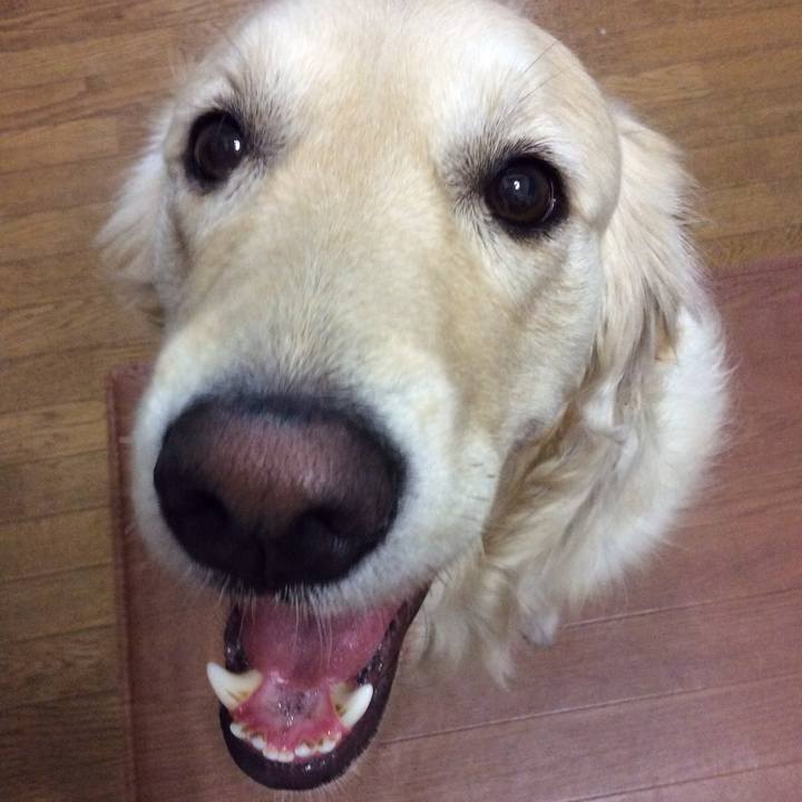 41e4a772 9158 4485 9777 5b5be618cbd2