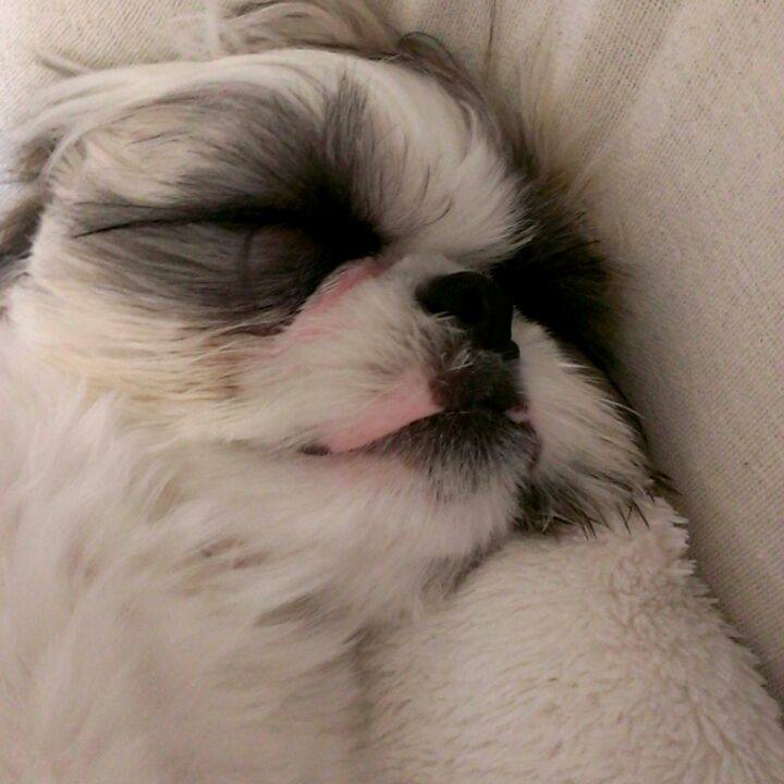 41e52045 54a6 47bc 9e4a c7ebb481ad3e