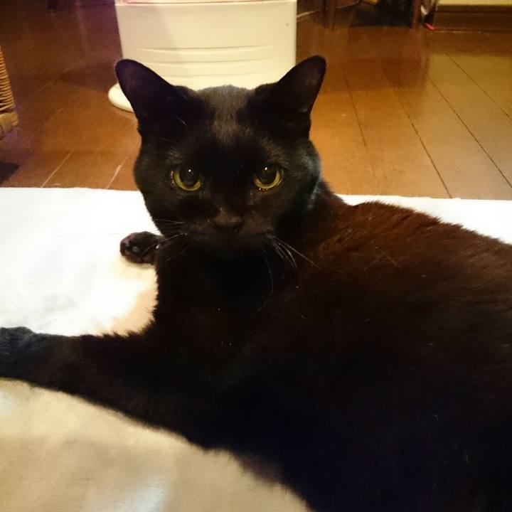 41e58fc6 6fb4 4334 92b5 cc74df0b1db9