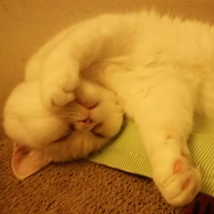 41e5a05b 6d5f 4363 b52a 09c9fdc75d7f