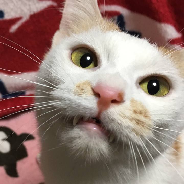 41e5c1b3 0909 4f57 a695 3b4f425a08f2