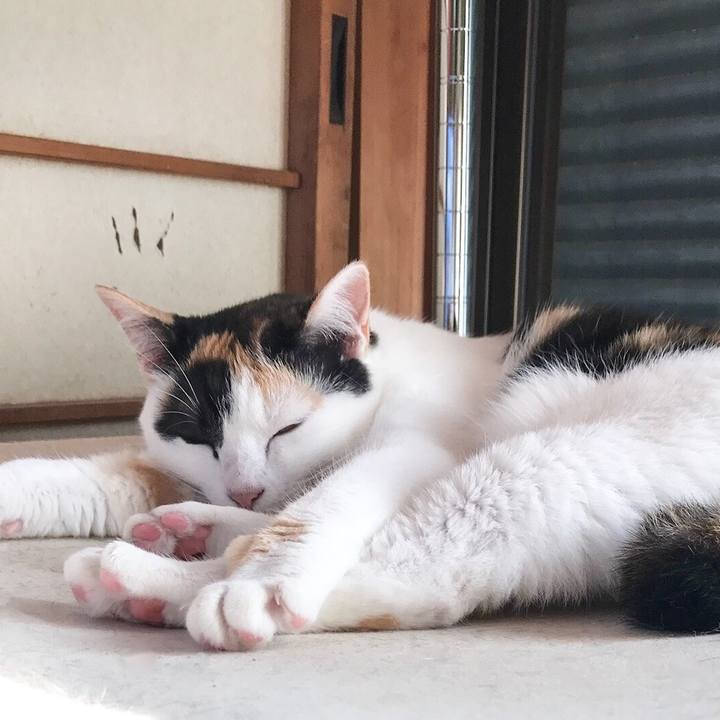 41e5da33 555e 4ad2 a1d3 d87ae29f9363