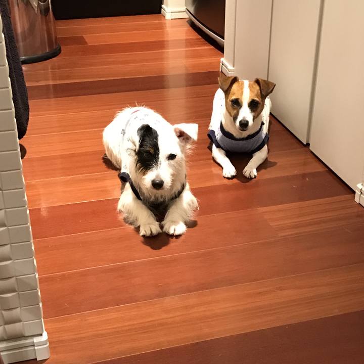 41e60570 f146 488e 9c85 7e8b1646fedf