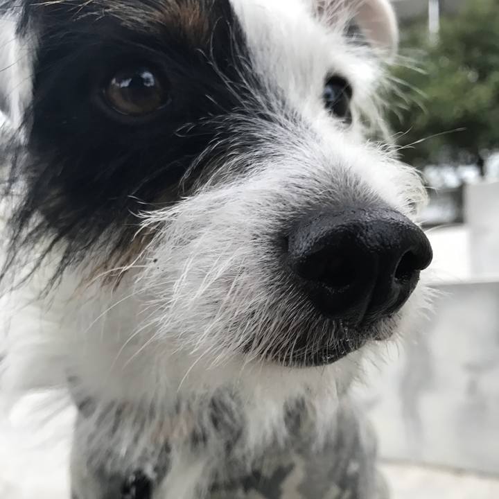 41e6d99f 1be3 4087 adc4 21be2bbd28cc