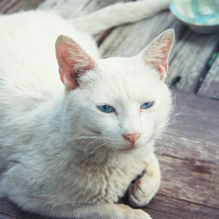 41e6f941 2e07 40d9 a470 dfb10056fadc