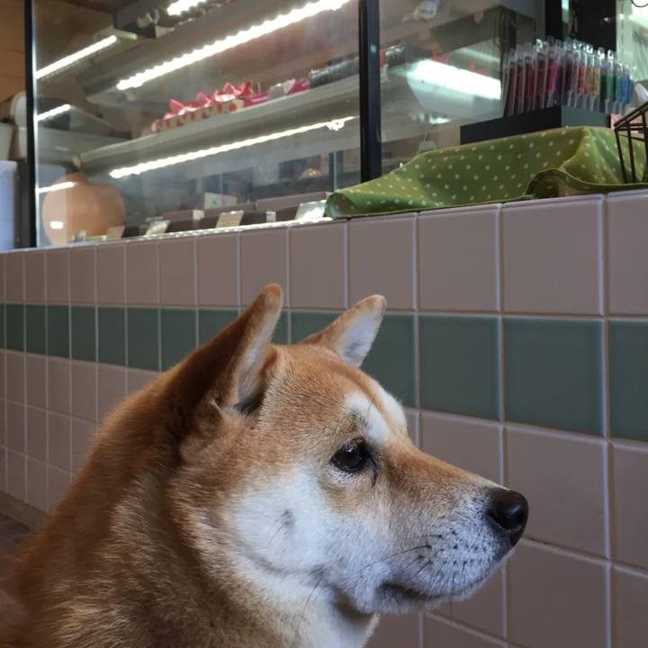 41e6fc2f 6530 46c5 80a9 8ed2eda13db5